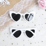 accessoires Evjf en lunettes